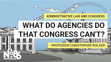 What Do Agencies Do That Congress Can’t? [No. 86]
