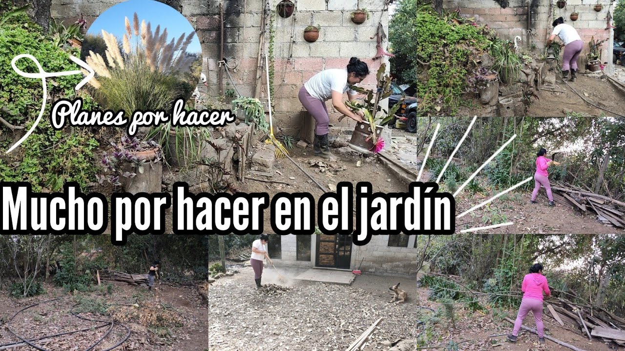 Mucho trabajo en el jardín 👩🏻‍🌾🏡🌼/ Planes a futuro 🙏🏻🙌🏻✨
