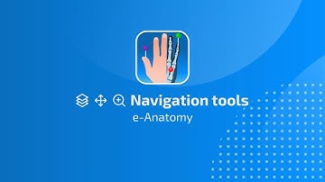 vet-Anatomy: Navigation tools feature