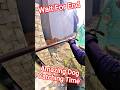 Amazing Dog Catch Up City #dog #dogwithpublicsafety #ytviral #pets #dogshorts #shorts #shortsfeed