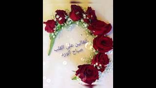 صباح الخير للغالين على قلبي 🌹💞🌹😍❤💕🌹🤗