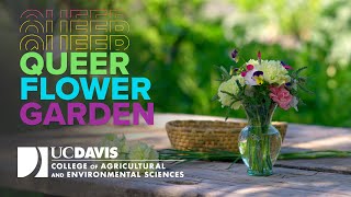 Queer Flower Garden at the UC Davis Student Farm