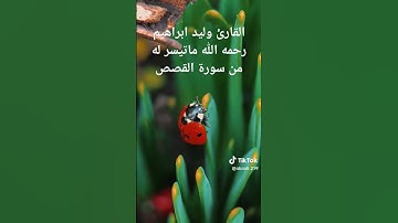 القارئ المرحوم وليد ابراهيم ماتيسرله من سورة القصص رحمه الله