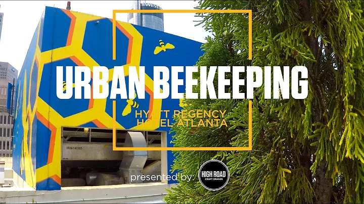 Chef Stories: Urban Beekeeping. Chef Thomas McKeow...