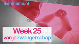 25 Weken Zwanger | Zwangerschap Week 25 - Ikenmama.Nl