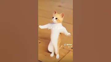 علاوي لاوي لاوي 