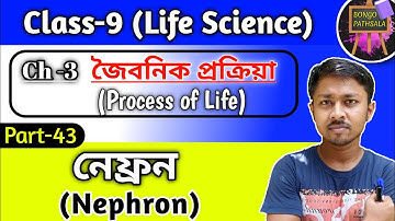 Class 9 Life Science Chapter 3 (Part 43) | Excretory System | Nephron | নেফ্রন
