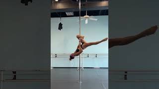 Celebrity Pole Combo: Tangled Split, Flamingo, & Poisson (Tutorial Links in Description) Profile