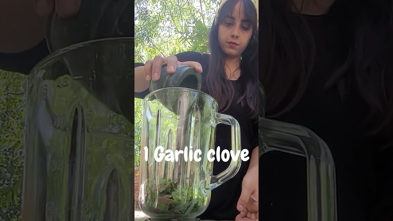 Magic Green Sauce for Kebabs