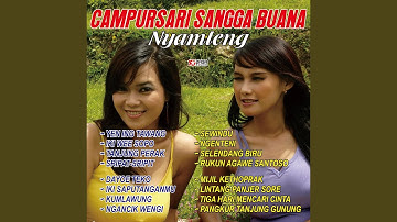 Selendang Biru