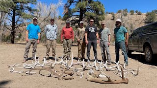 Extreme Shed Hunting In New Mexico