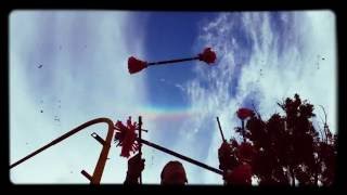 Rainbow flower sticks