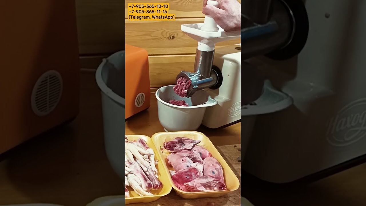 Мясорубка Хозяюшка Купить В Минске