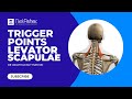 Trigger Point Therapy - Treating Levator Scapulae