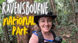 SOLO HIKE-Ravensbourne National Park, Queensland