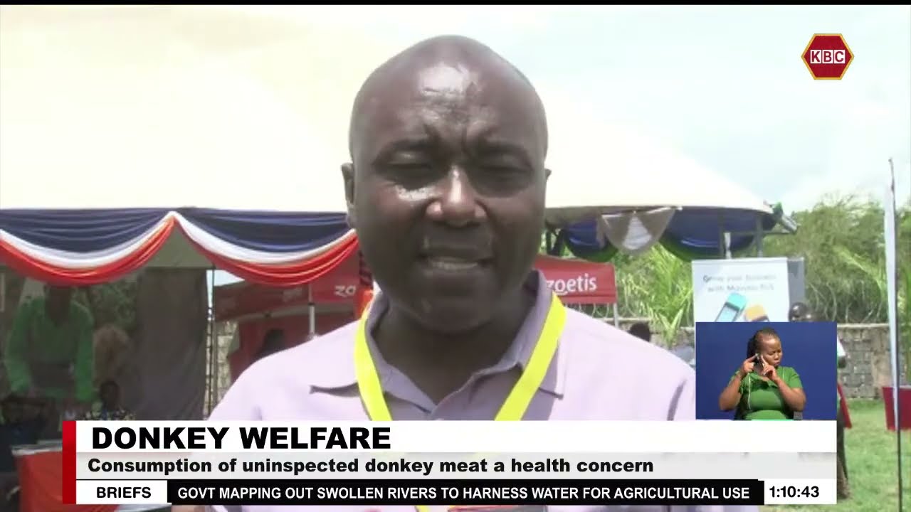 Consumption of uninspected donkey meat a health concern
