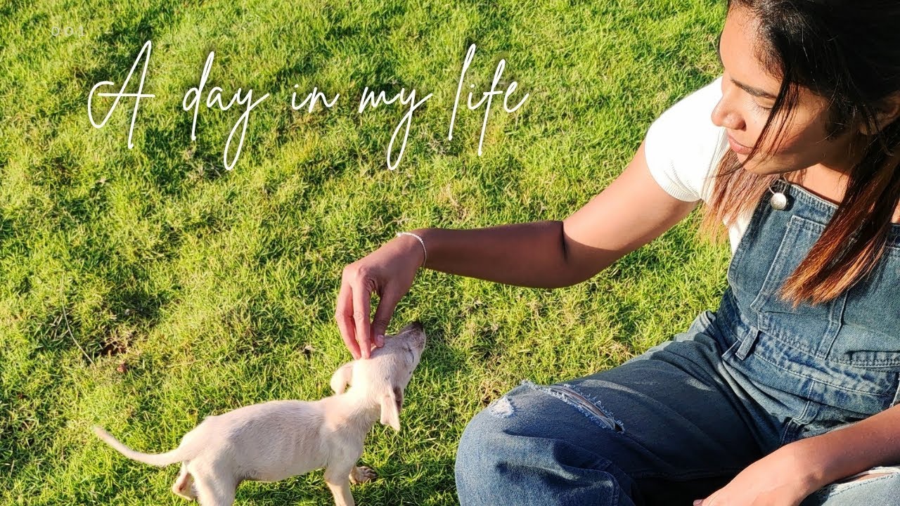 A day in my life🤍 