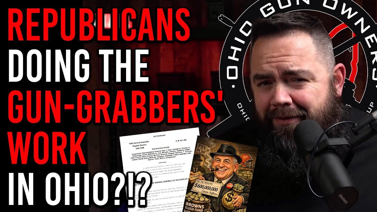 🚨🚨 Meet the Republicans Doing the Gun Grabbers’ Work
