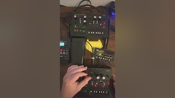 Linked Korg Monotribe into Korg Monotron Delay into Zoom G1X Four June 3rd 2024
