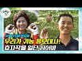 특산물의 세대교체! 제철 맞은 영양만점 과일 대추와 백향과가 이제 대세다!! | 아침이 좋다 | 10월 29일