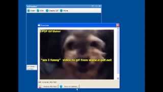 Make your own gif from video step by step guide screenshot 4