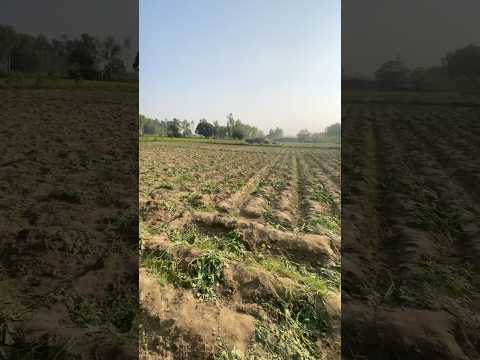 Sade Hisa Farming Diya Ketaba Ha Ge Ha Jora Bains Vlogs Treading Automobile Jattlife Shorts