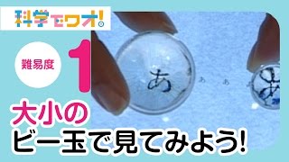 【自由研究】大小のビー玉で見てみよう！