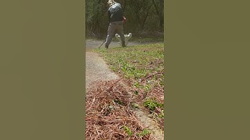 Lawn Edging with a Weedeater on Overgrown Driveway - Flip Edge with String Trimmer