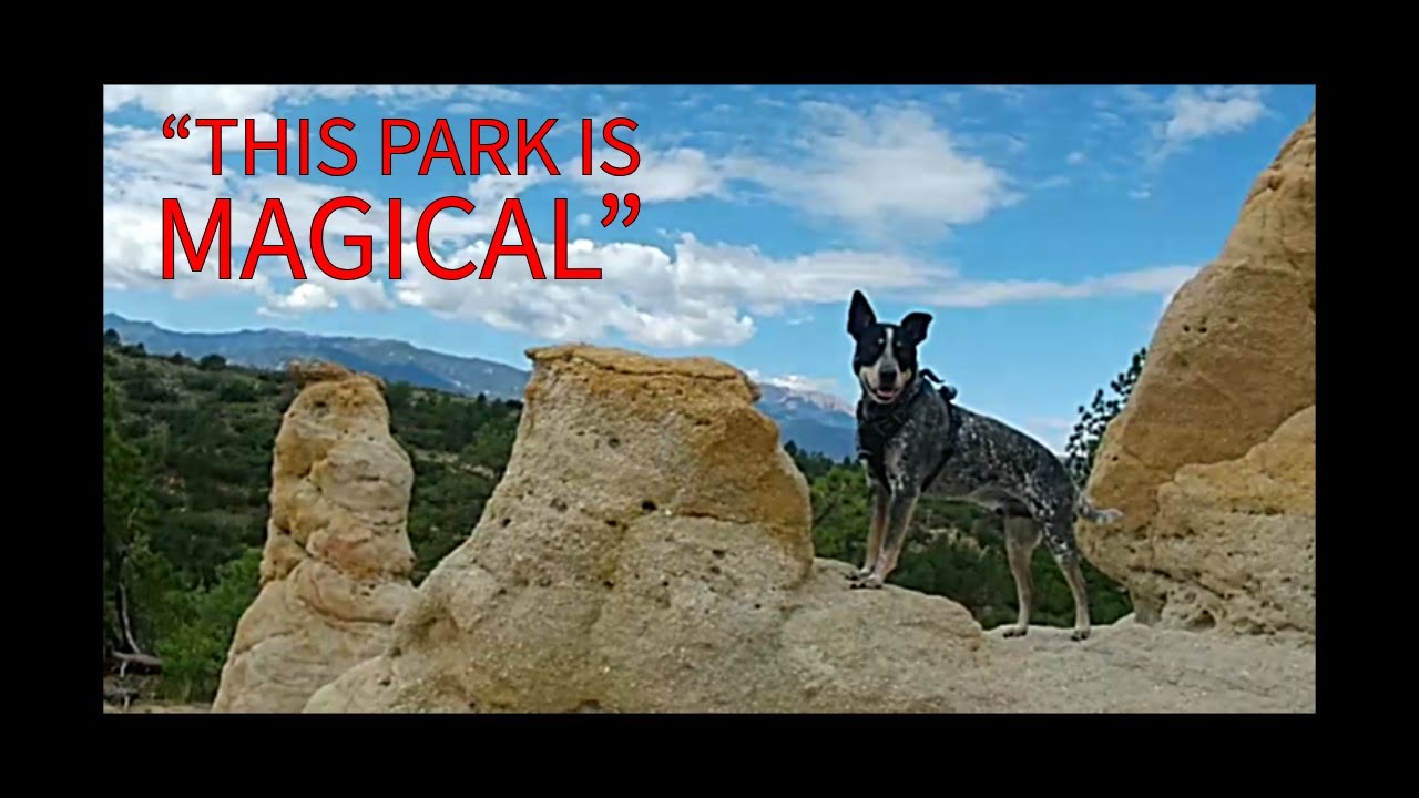 “Hidden Trails & Big Views 🐶⛰️ | Palmer Park Hike with Hank”
