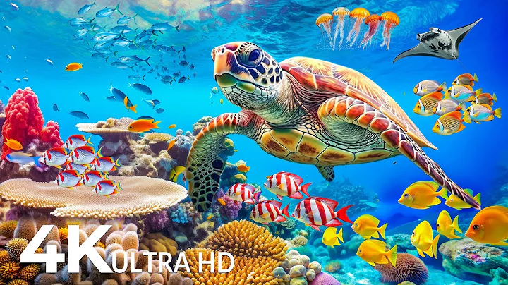 Dive Into the Mesmerizing Underwater Realm - Marvel at Sea Animal in The Best 4K UHD Aquarium #72