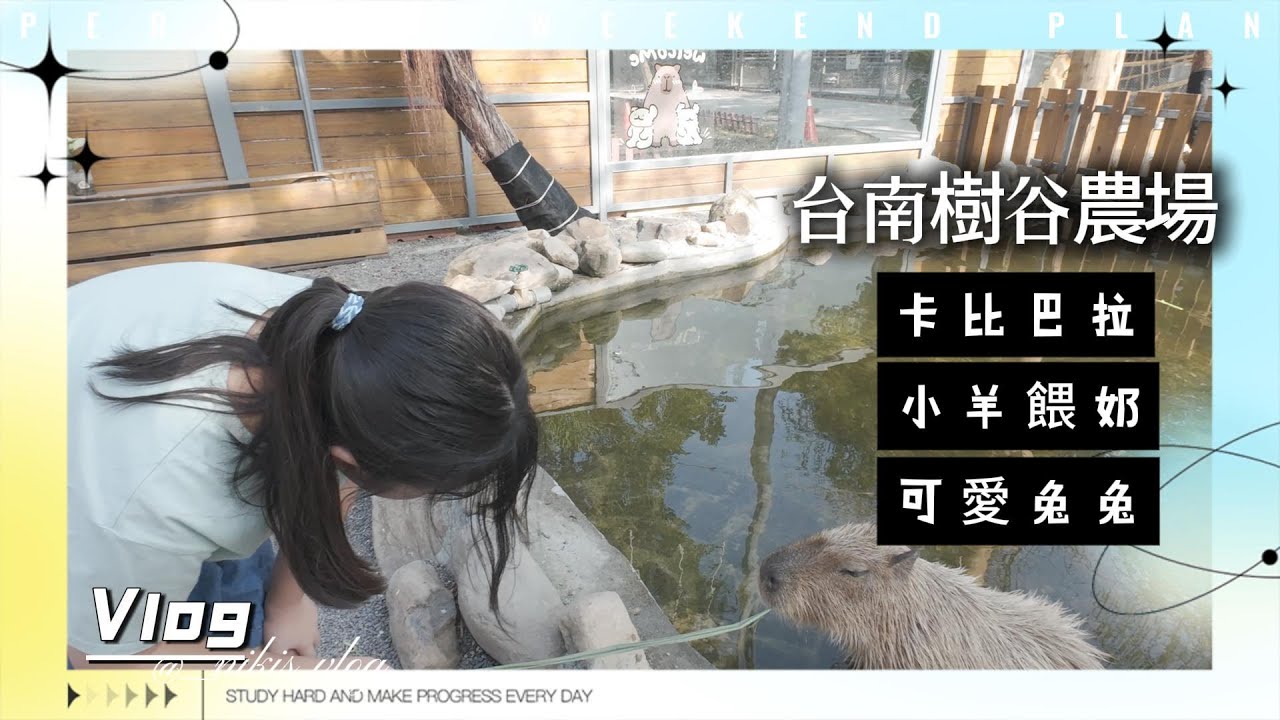 (Vlog) 台南樹谷農場 餵食 卡比巴拉 小羊喝奶 抱兔兔 超可愛