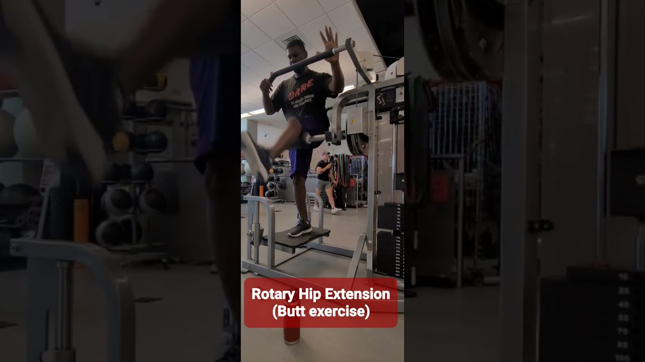 Rotary hip machine for glutes new arrivals
