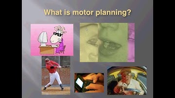 Getting to Know Speak for Yourself