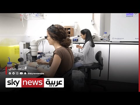 مينيما علاج جديد يسمح لبذرة صغيرة بتدمير الورم السرطاني