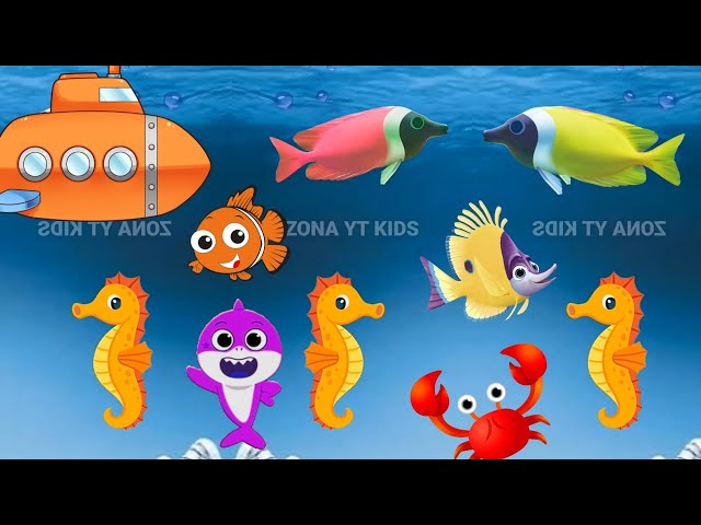 Little Shark kids octopus dolphin at Ocean Nursery rhymes kids song Animals  Sea Baby Shark song 