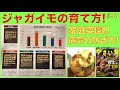 【#93】家庭菜園で作るジャガイモの育て方！病気を防ぐ一工夫！