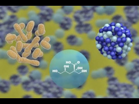 Descubren bacterias que comen desechos nucleares - YouTube