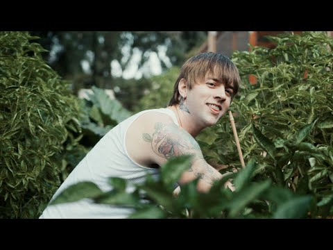 American Teeth - Green Thumb