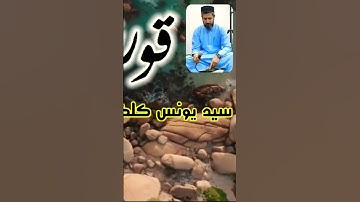 القرآن الكريم. سيد يونــس كلكجي