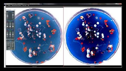 Microptik MIMIS 2014 multipurpose Image analysis software