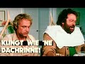 Bud Spencer & Terence Hill in "Das Krokodil und sein Nilpferd" - Feine-Leute-Fressen