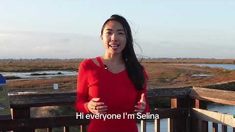 Introducing Bubble Lab: Code-based agentic workflow builder