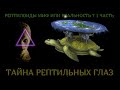 Рептилоиды миф или реальность 1  new