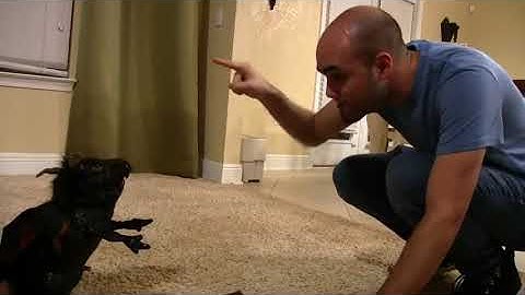 SML Movie: How To Train Your Dragon 🐲