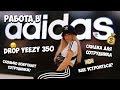 РАБОТА В ADIDAS, ПОЧЕМУ ЧАСТАЯ СМЕНА КОМАНДЫ || Julia Caezar