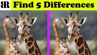 Find The Difference | Spot The 5 Differences | See If You Can Find ALL | 10 Rounds | African Animals