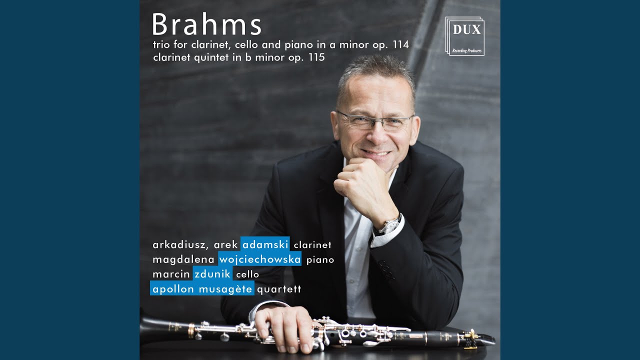 Clarinet Quintet in B Minor, Op. 115: I. Allegro