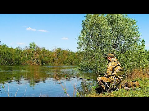 Видео: НЕ ХОЧЕТСЯ УХОДИТЬ С ТАКОЙ РЫБАЛКИ! КЛЮЕТ РАЗНАЯ РЫБА! Душевная рыбалка на фидер!