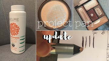 PROJECT PAN UPDATE #4 | Using Up Products!