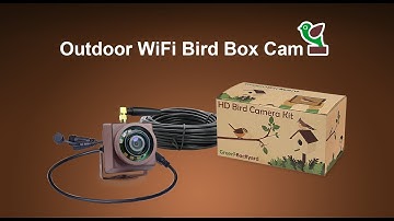 Outdoor WiFi Bird Box Camera Installation Guide